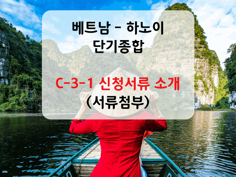 베트남 C-3-1